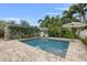 Beautiful pool with lots of palms at 818 37Th Ne Ave, St Petersburg, FL 33704