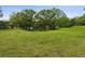 Open green lawn with large trees leading to a small pond in the distance at 1211 Penny Ct, Dunedin, FL 34698