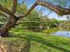Scenic view of the pond framed by a large tree and lush green grass at 1211 Penny Ct, Dunedin, FL 34698