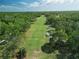 Aerial view of lush golf course surrounded by mature trees and landscaping at 25 Woods Landing Trl, Oldsmar, FL 34677