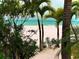 View of the beach and ocean through the palm trees and sea grapes at 512 79Th Ave, St Pete Beach, FL 33706