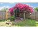 Backyard garden feature showcasing mature bougainvillea draped over a wooden trellis at 5814 Silver Moon Ave, Tampa, FL 33625