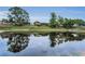 Scenic pond with trees reflecting on the water at 8742 Bermuda Ln, Port Richey, FL 34668