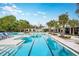 Community lap pool with palm trees, lounge chairs, and white buildings on a bright sunny day at 9816 Minnow Ray Dr, Land O Lakes, FL 34638
