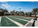 Enjoy a game of shuffleboard at the community courts, featuring covered seating and palm trees at 9816 Minnow Ray Dr, Land O Lakes, FL 34638