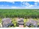 Aerial view of a home nestled among lush trees, showcasing its private setting and well-maintained surroundings at 10703 Morning Dew Way, Tampa, FL 33647