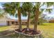 Landscaped front yard featuring mature palm trees, garden beds, and view of the house at 11480 Genter Dr, Spring Hill, FL 34609