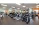 Well-equipped gym with treadmills and elliptical machines at 18111 Paradise Point Dr, Tampa, FL 33647