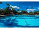 Inviting swimming pool with crystal clear water and lush tropical landscaping at 21840 Waverly Shores Ln, Land O Lakes, FL 34637