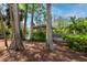 Community gazebo among the trees overlooking the water for relaxing at 2363 Newburg Ln # B, Safety Harbor, FL 34695