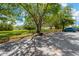 A picturesque tree-lined street view with lush greenery at 2897 Thaxton Dr # 62, Palm Harbor, FL 34684