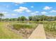 A tranquil lakeside view showcasing a wooden dock extending into a lily pad-filled pond at 3626 Lake Joyce Dr, Land O Lakes, FL 34639