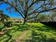 A large tree surrounded by green grass, with a stone path leading to a bench in a sunny yard with a yellow building at 1103 Coral Ln, Dunedin, FL 34698