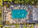 Aerial view of a community pool with lounge chairs and tables surrounded by palm trees and a brick paved area at 1103 Coral Ln, Dunedin, FL 34698