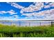Scenic lake view from behind a black metal fence, with vibrant green foliage and cloudy blue skies at 11231 Spring Point Cir, Riverview, FL 33579