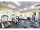 Community gym featuring treadmills, ellipticals, weights, and natural light through large windows at 20224 Pond Apple Ln, Tampa, FL 33647