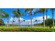 Picturesque pond view with lush palm trees and blue skies at 2927 Hickory Grove Dr, Valrico, FL 33596