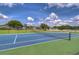 Well-maintained tennis court with blue and green surface, surrounded by lush landscaping at 2927 Hickory Grove Dr, Valrico, FL 33596