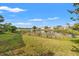View of the verdant backyard with the calming presence of a serene lake at 7201 15Th Ne Ct, St Petersburg, FL 33702