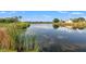 Serene lake view with lush greenery and clear water, offering a peaceful setting at 7201 15Th Ne Ct, St Petersburg, FL 33702