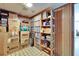 Spacious basement area with vintage flooring, wood paneling, and ample storage at 827 Louise St, Brandon, FL 33511