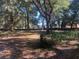 View of the vacant lot featuring a lush tree line for privacy and future landscaping potential at 832 S Parsons Ave, Brandon, FL 33511