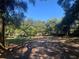 Landscape view of the vacant lot featuring a lush tree line for privacy and future landscaping potential at 832 S Parsons Ave, Brandon, FL 33511