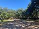 View of land surrounded by mature trees, providing a private and serene environment at 832 S Parsons Ave, Brandon, FL 33511