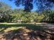 View of land surrounded by mature trees with structures in the distance at 832 S Parsons Ave, Brandon, FL 33511