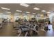 Bright gym featuring treadmills, ellipticals, and weight machines for a comprehensive workout experience at 18236 Paradise Point Dr, Tampa, FL 33647