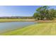 Beautiful pond with grassy banks and mature trees in a serene setting at 18236 Paradise Point Dr, Tampa, FL 33647