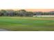 Well-maintained putting green overlooking a serene lake, perfect for golf practice and relaxation at 18236 Paradise Point Dr, Tampa, FL 33647