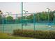 Well-lit tennis courts with green fencing, offering a great space for recreation and sports at 18236 Paradise Point Dr, Tampa, FL 33647
