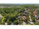 Beautiful aerial view of a suburban neighborhood surrounded by lush greenery and mature trees at 20403 Walnut Grove Ln, Tampa, FL 33647