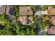 This aerial view displays the location of this home that features a screened lanai and is surrounded by mature trees at 20403 Walnut Grove Ln, Tampa, FL 33647