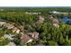 Overhead view of residential homes surrounded by tree canopy in a lush neighborhood by a serene lake at 20403 Walnut Grove Ln, Tampa, FL 33647