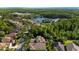 Scenic aerial view of suburban homes adjacent to a serene lake and lush wooded areas at 20403 Walnut Grove Ln, Tampa, FL 33647