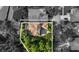 This aerial view showcases a charming Tampa home featuring a screened lanai and situated among lush trees at 20403 Walnut Grove Ln, Tampa, FL 33647
