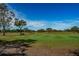 Scenic golf course view with lush green fairways, mature trees, and clear blue skies at 3918 Versailles Dr, Tampa, FL 33634
