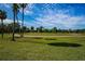 Expansive golf course featuring manicured green, swaying palm trees, and bright blue skies at 3918 Versailles Dr, Tampa, FL 33634