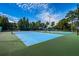 Bright blue tennis courts surrounded by lush greenery, offering a vibrant space for play at 3918 Versailles Dr, Tampa, FL 33634