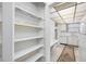 Spacious pantry adjacent to kitchen with multiple shelves for ample storage at 5660 80Th N St # D207, St Petersburg, FL 33709