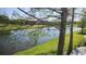 A tranquil waterfront view overlooks a pond with verdant foliage and a distant building at 6618 Pineview Ter # 6618, Bradenton, FL 34203
