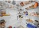 Pantry featuring ample wire shelving with various food items at 22196 Calisto Way, Land O Lakes, FL 34637