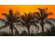 Sunset view of palm trees silhouetted against the sunset and water, creating a peaceful tropical vista at 248 137Th Cir, Madeira Beach, FL 33708