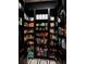 Well-stocked pantry with ample storage space at 389 Bayview Ne Dr, St Petersburg, FL 33704