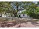 Charming home featuring mature trees, white picket fence, and welcoming front porch, nestled on a brick street at 559 Scotland St, Dunedin, FL 34698