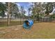 Community dog park featuring a blue play tunnel, providing a fun and engaging space for pets to exercise and socialize at 5619 Tranquil Pond Pl, Riverview, FL 33578