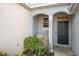 View of the front door of the home showing a small porch area at 6236 Olivedale Dr, Riverview, FL 33578