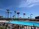 Large community swimming pool surrounded by palm trees, lounge chairs, and a view of the intercoastal waterway at 6277 Bahia Del Mar Blvd # 110, St Petersburg, FL 33715